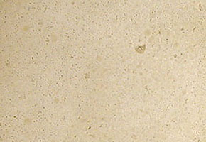 marmo Calizia