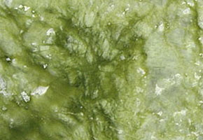 marmo Verde Ming